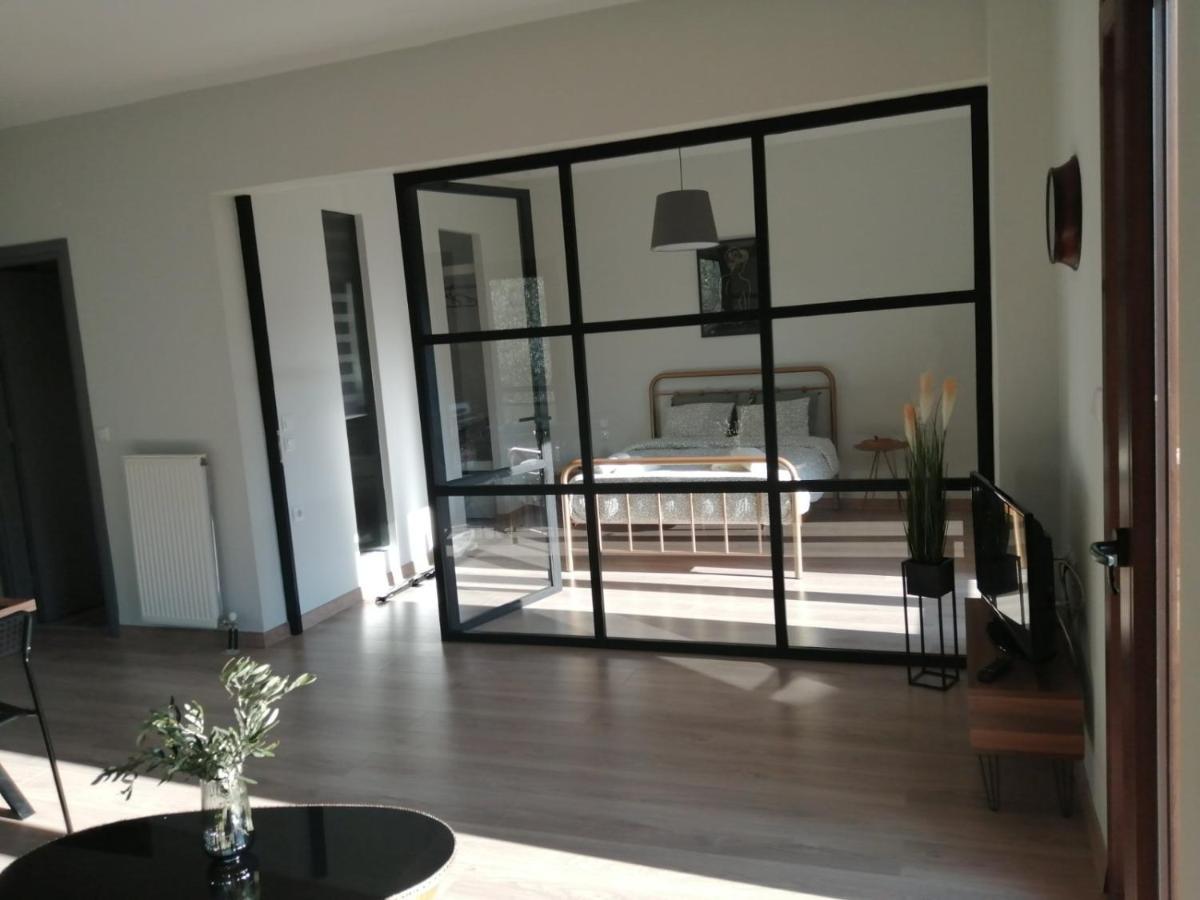 Eleana Apartment Ioannina Ngoại thất bức ảnh