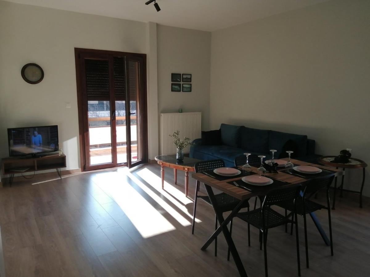 Eleana Apartment Ioannina Ngoại thất bức ảnh