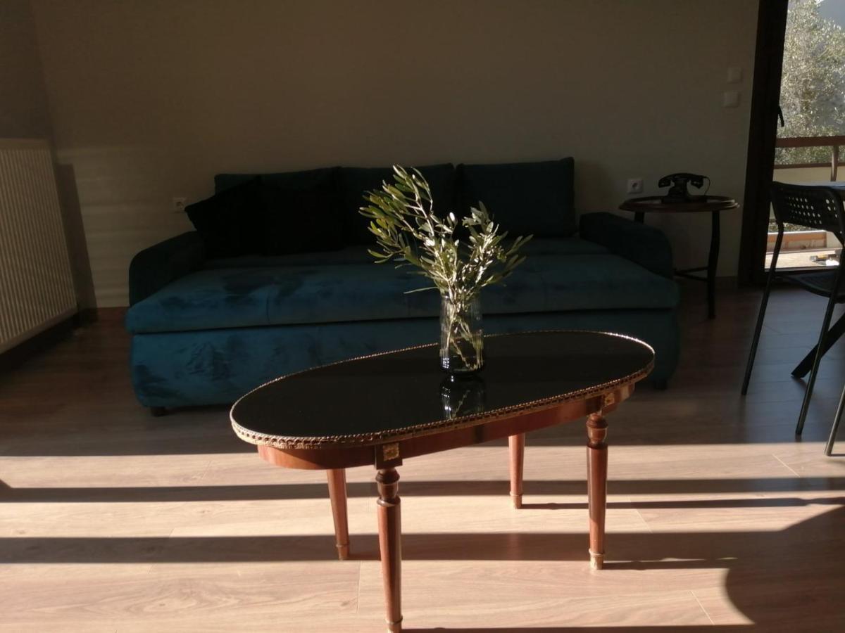 Eleana Apartment Ioannina Ngoại thất bức ảnh