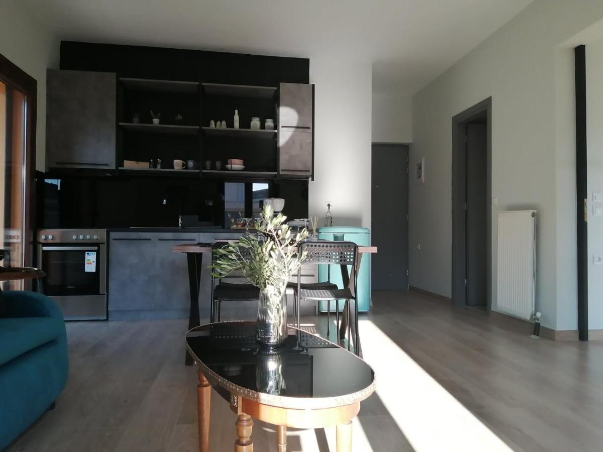 Eleana Apartment Ioannina Ngoại thất bức ảnh