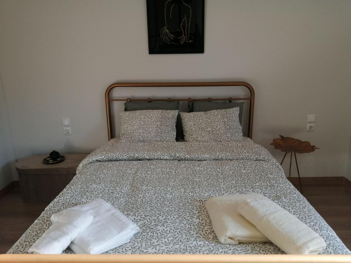 Eleana Apartment Ioannina Ngoại thất bức ảnh
